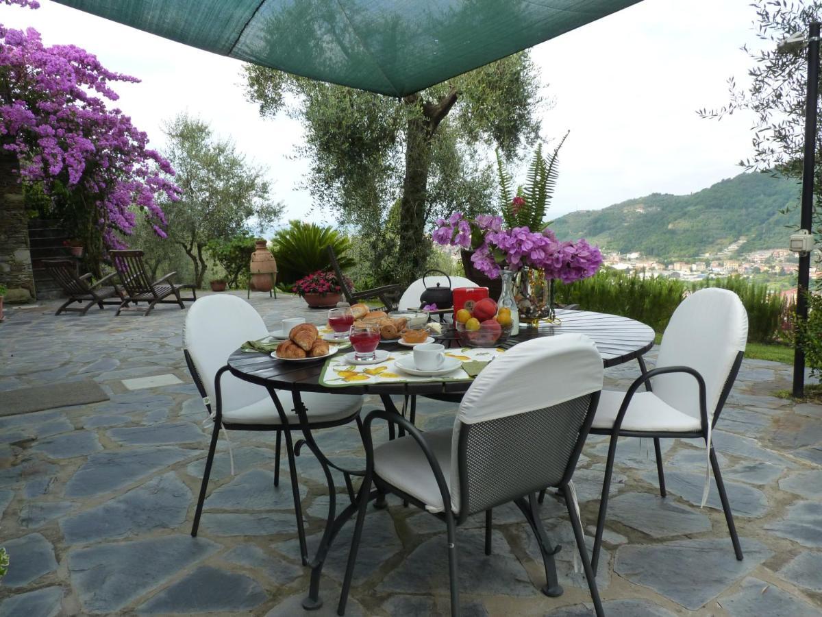 La Gatta Sul Sentiero Bed & Breakfast San Salvatore  Ngoại thất bức ảnh